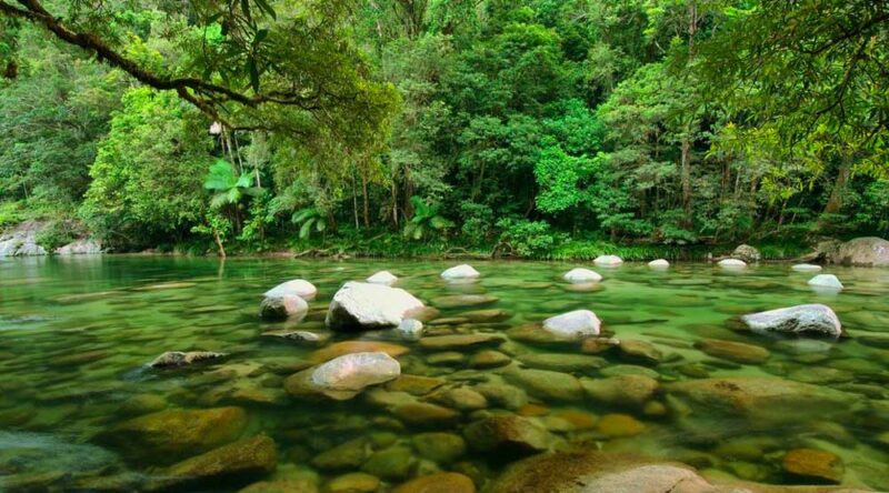 Conheça as 10 maiores florestas do mundo por área