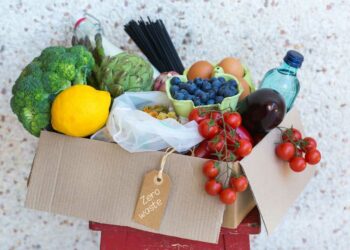 Lixo orgânico e inorgânico: como separar corretamente e dicas essenciais