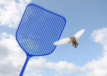 Como espantar moscas