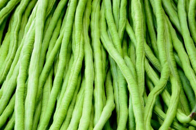 Tips for cooking with Vagem