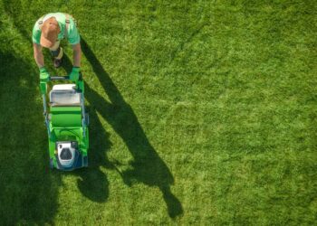 Limpeza de terreno: como fazer passo a passo, métodos e manutenção