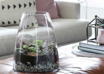 Terrário de suculentas