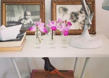 Orquídea bambu: características, como cuidar e ideias incríveis na decoração