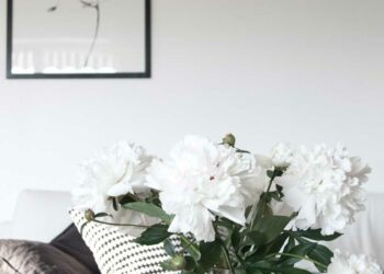 Peônia: características, significado, como cuidar e ideias na décor