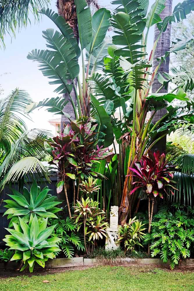 O jardim tropical inspira alegria e movimento
