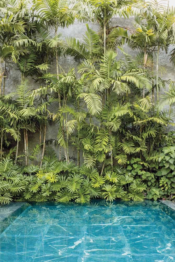 Lagos, fontes e piscinas fecham o projeto do jardim tropical com chave de ouro