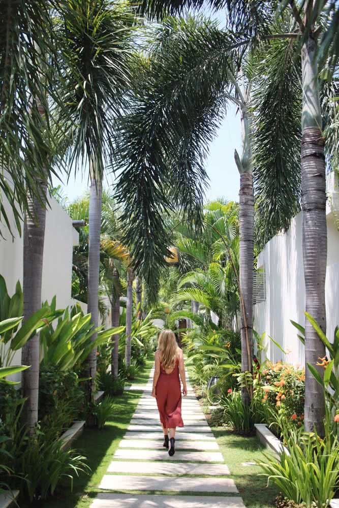 Jardim tropical de palmeiras e estrelícias: plantas exuberantes para adornar a passagem