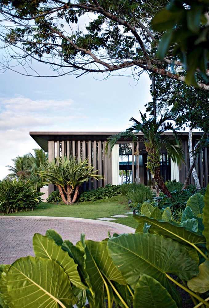Jardim tropical e moderno para adornar a fachada da casa