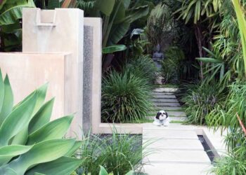 Capa Jardim tropical