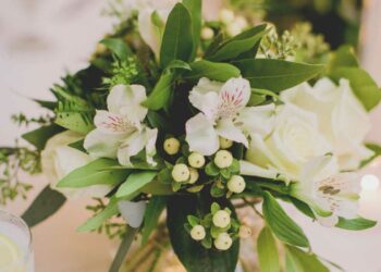 Astromélia: como cuidar, plantar, dicas e ideias de decoração incríveis