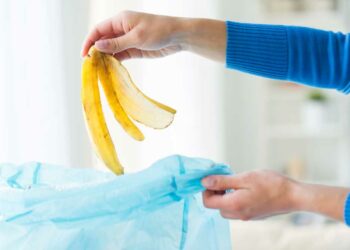 Desperdício de alimentos: como evitar e fazer a sua parte?