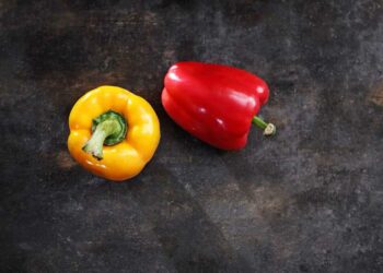 Como plantar pimentão: como fazer a muda e informações importantes