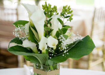 Copo de leite: veja curiosidades sobre a flor e ideias de decoração