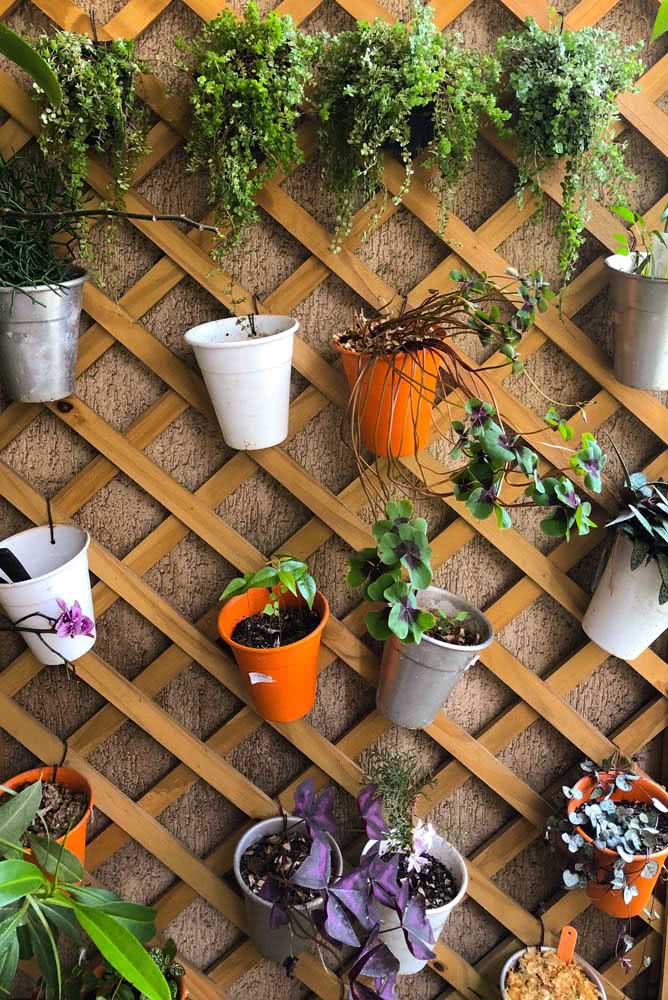 Plantas Pendentes: O que são, Dicas, Tipos e Fotos de Decoração