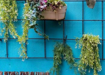 Plantas pendentes capa 5