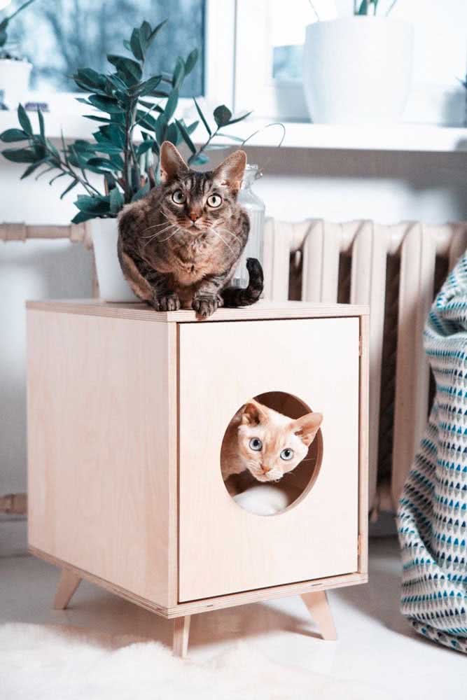 Casinha de madeira para gatos em formato de caixa