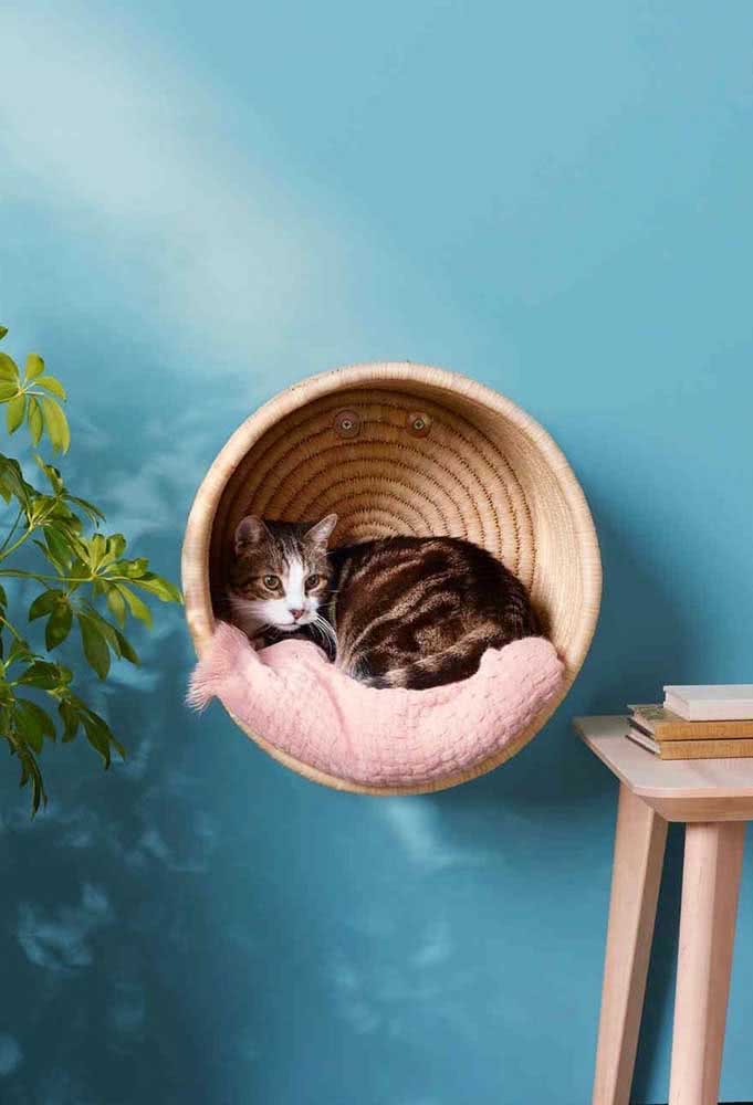 Casinha de gatos na parede: perfeita para os felinos que gostam de dormir nas alturas