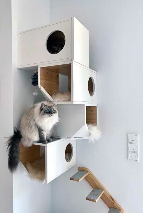 Casinha para Gatos: Dicas, Como Fazer a Sua e Fotos para se Inspirar