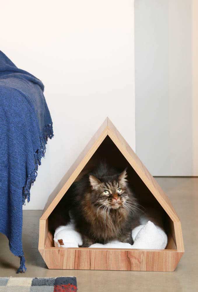 Toquinha para gatos em estilo cabana