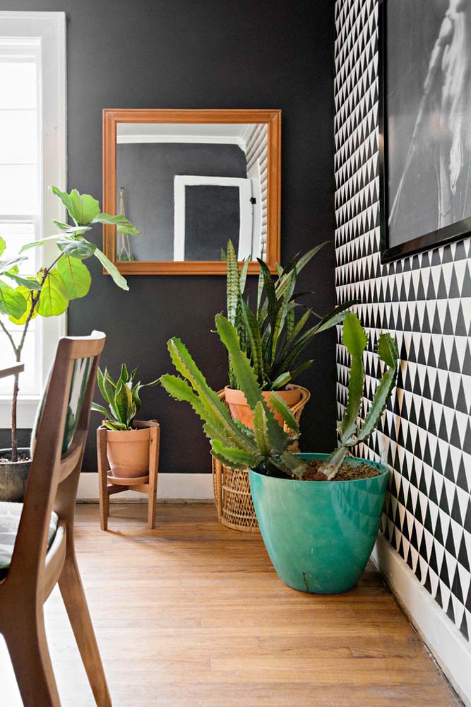 Um belíssimo cantinho da sala com plantas que se destacam em meio a pintura preto e branca.