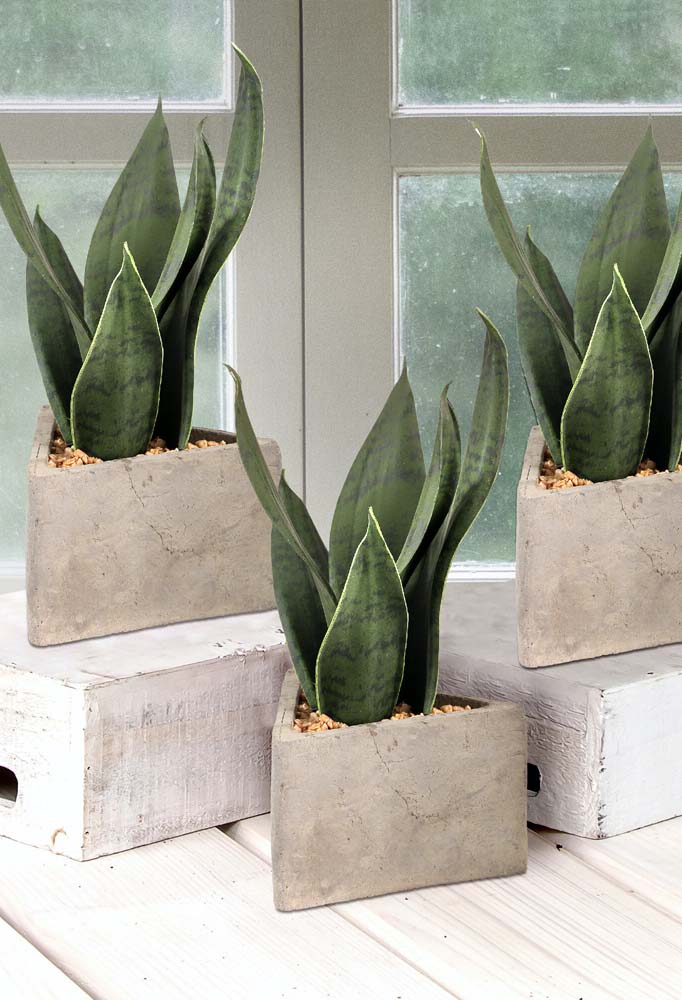 Trio de vasos de concreto pequenos com plantinha em tamanho pequeno.