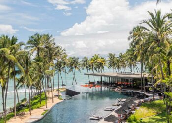 Coqueiro de jardim: tipos, como plantar e ideias de paisagismo para inspirar