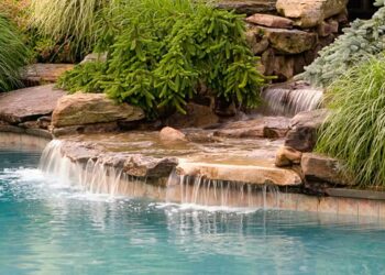 Piscina natural: vantagens, como construir e projetos modernos