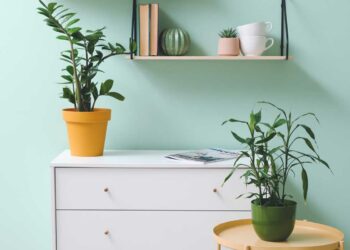Verde menta: significado, como combinar e ideias de decoração