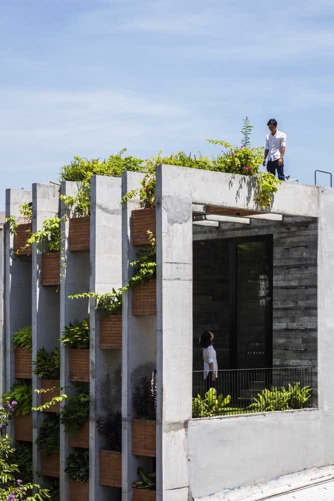Essa fachada com pergolado de concreto se tornou o abrigo perfeito das plantas