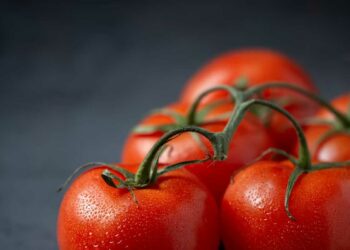 Vegetais para plantar em casa: 10 opções para você cultivar no jardim