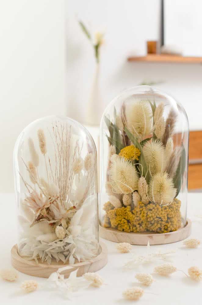 Para conservar as flores secas por mais tempo coloque-as em redomas de vidro