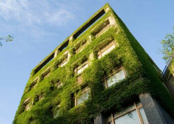 Arquitetura sustentável: o que é, vantagens e as principais práticas