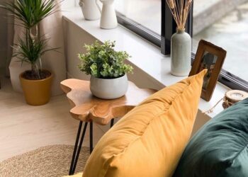 Dinheiro em penca: significado, como cuidar e 55 ideias na décor