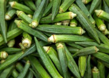 Como tirar baba do quiabo: 6 formas para você testar em casa