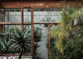 Jardim de inverno simples: como fazer, dicas e ideias inspiradoras