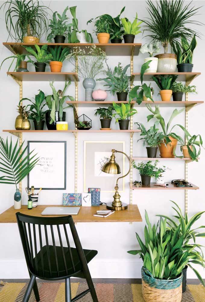 O que acha de fazer uma urban jungle sobre a escrivaninha com estante?