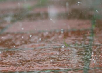 Captação de água: o que é, como funciona, tipos e dicas essenciais