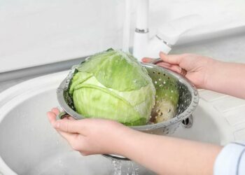Como lavar repolho: dicas de especialistas com passo a passo