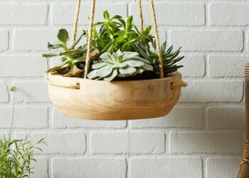 Suculentas pendentes: tipos, como cuidar e dicas de decoração