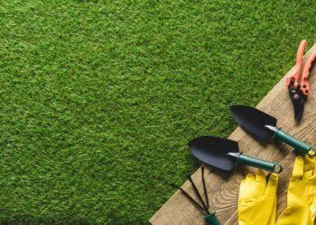 Tipos de grama para jardim: principais espécies e dicas de cuidados