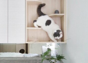 Móveis para gatos: tipos, como fazer e ideias lindas para se inspirar