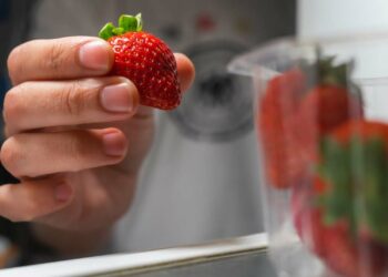 Como conservar morango na geladeira: aprenda técnicas eficazes