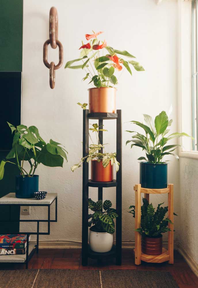 Que tal exibir sua coleção de plantas em um cantinho bem perto da janela?