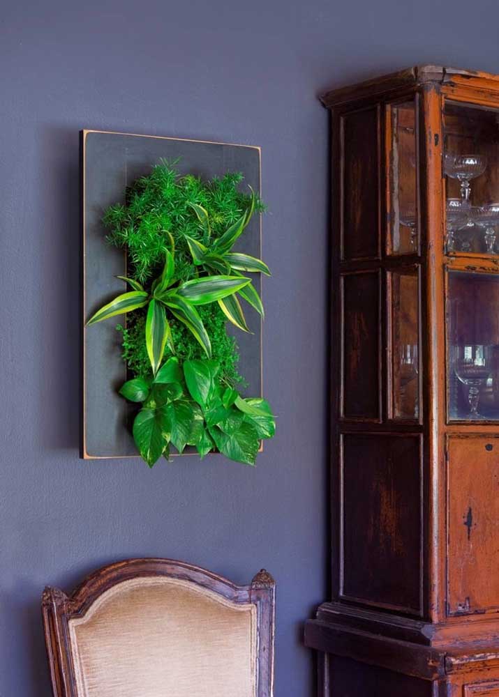 Já pensou em fazer um quadro verde com a planta pacová?
