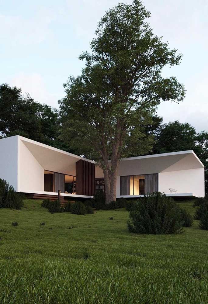 Que tal agora uma fachada de casa bonita e minimalista em meio a natureza?