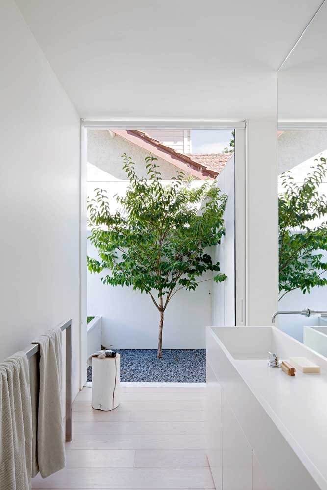 Com um pouco mais de espaço você pode até mesmo ter uma árvore no jardim de inverno no banheiro
