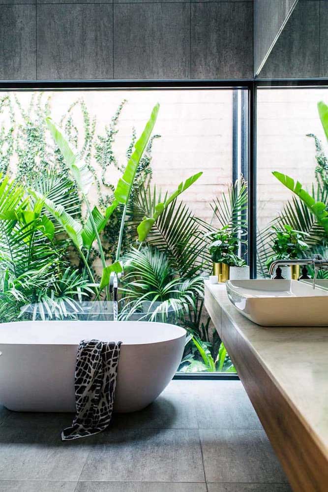 Jardim de inverno no banheiro para provar que plantas cabem em qualquer lugar