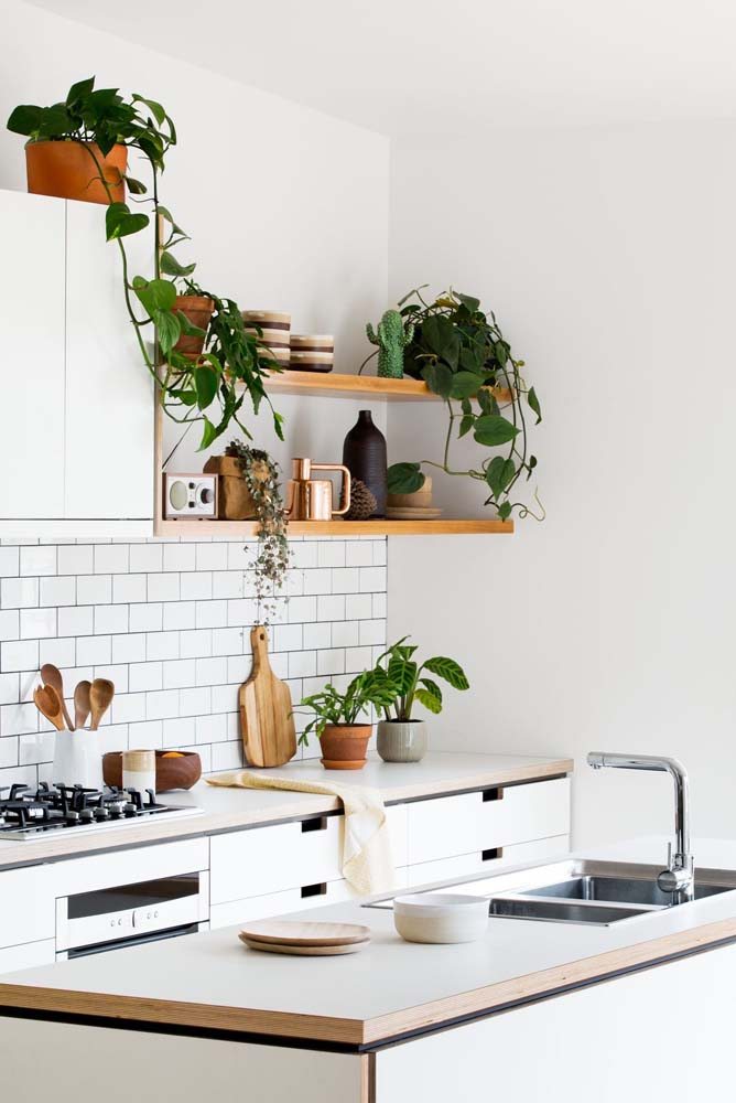 Aposte nos vasos de plantas para trazer mais vida ao seu ambiente com estilo minimalista.