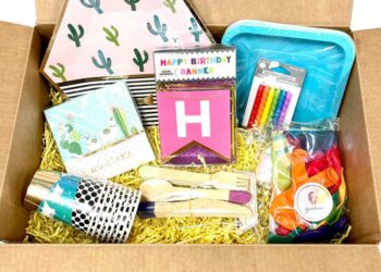 Festa na caixa simples: dicas e 50 ideias para você montar a sua