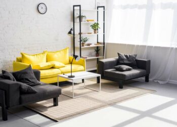 Como eliminar pulgas do ambiente: veja dicas práticas para seguir já